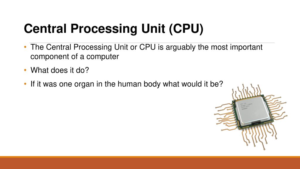 Is The CPU The Most Important Component Of A Computer