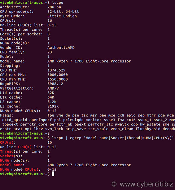 Überprüfen Sie die CPU im Linux -Befehl