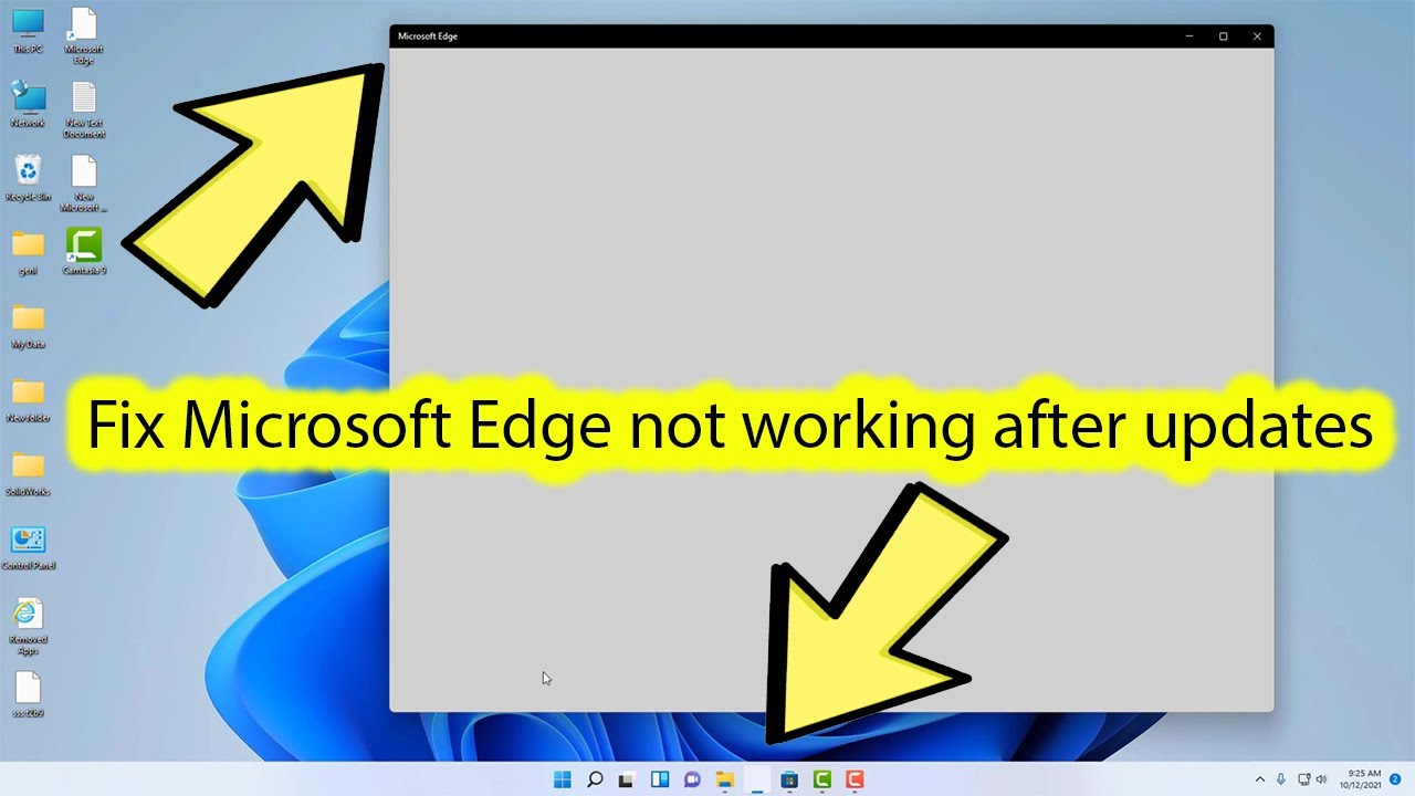 Microsoft Edge Not Working Windows 11