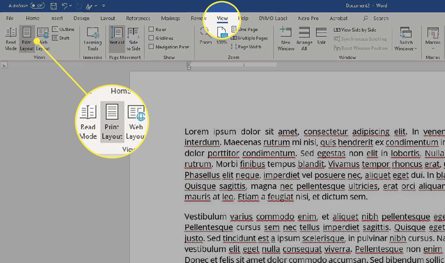 How To Turn On Ruler In Microsoft Word