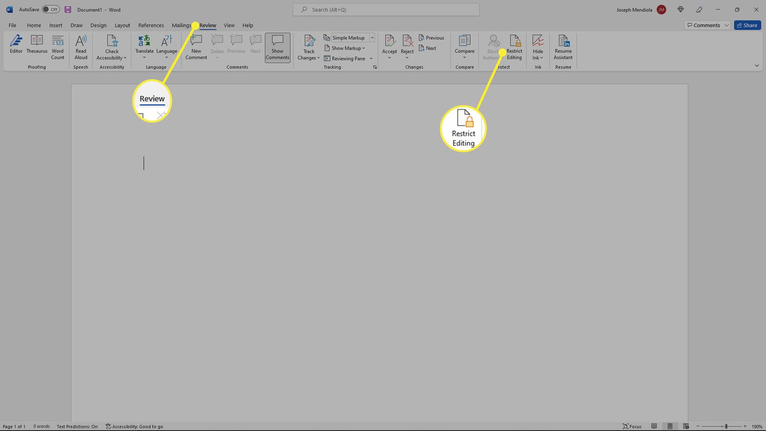 How To Make Edits In Microsoft Word