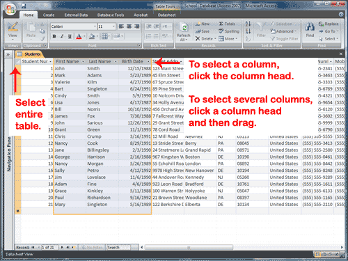 In Microsoft Access Each Row Is Called A