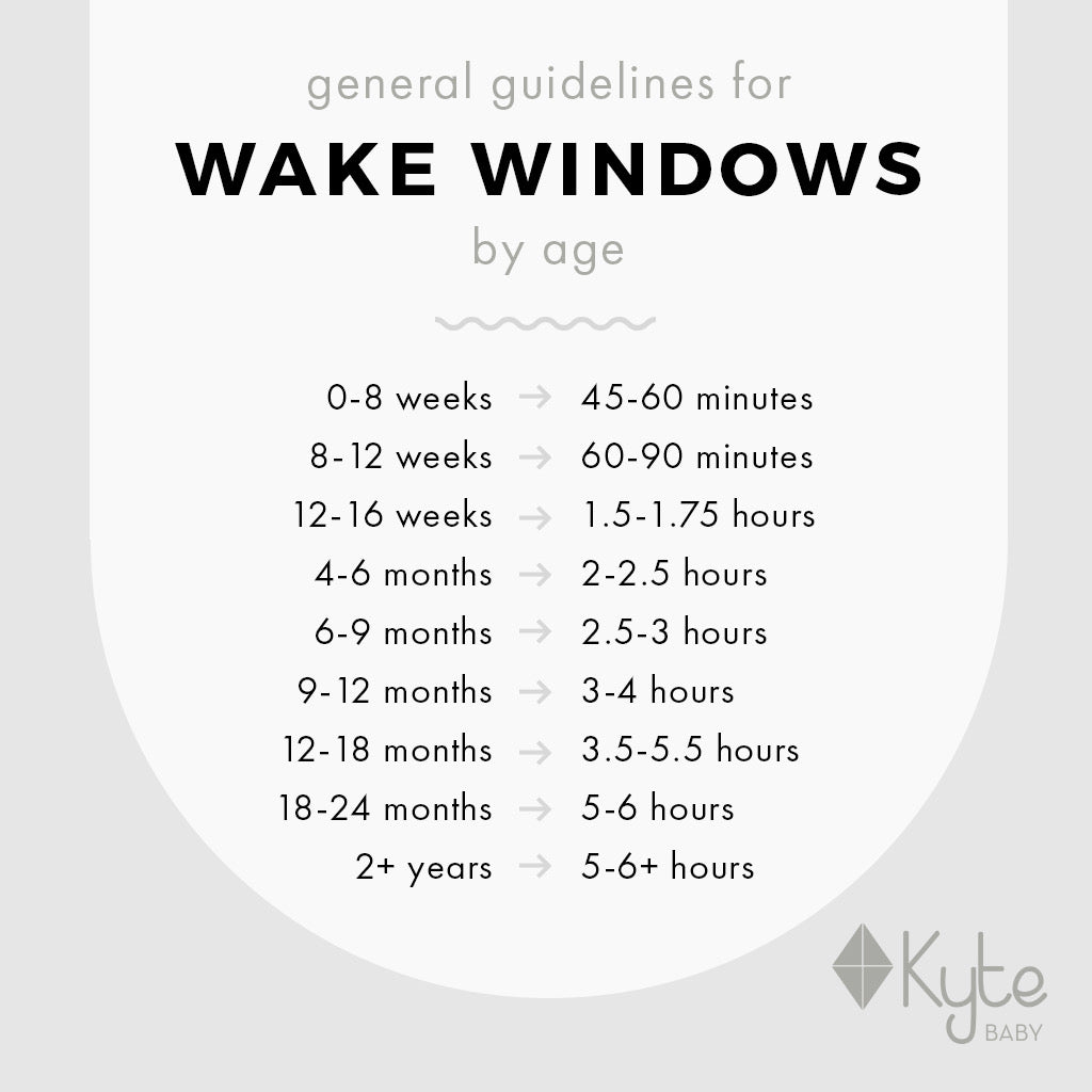 How Long Are 8 Week Old Wake Windows