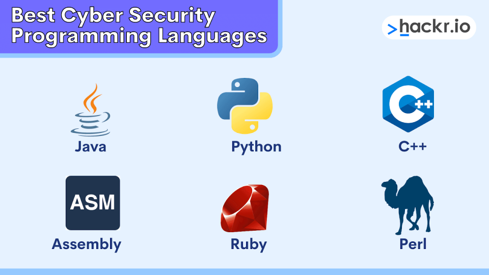 Best Programming Language For Network Security