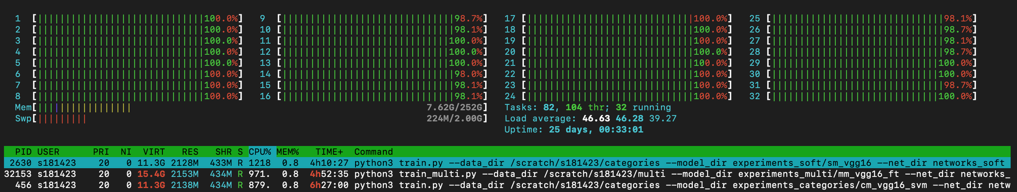 Pytorch Use All CPU Cores