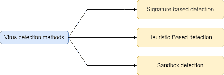 Antivirus Detection Types Program Based