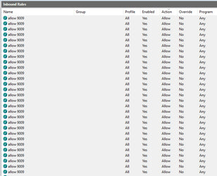 What Is Allow 9009 In Firewall