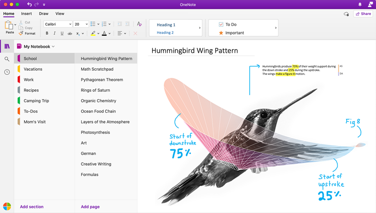 What Is Onenote For Windows 10