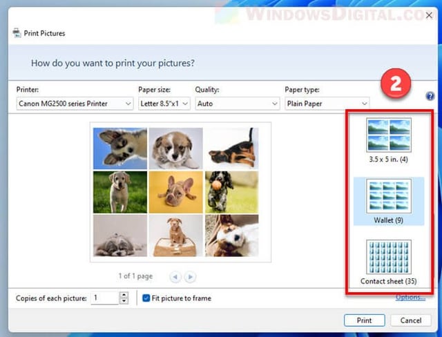 How To Print Multiple Pictures On One Page Windows 11