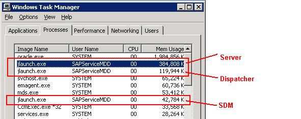 Sap Java Vm Runtime Binary High CPU