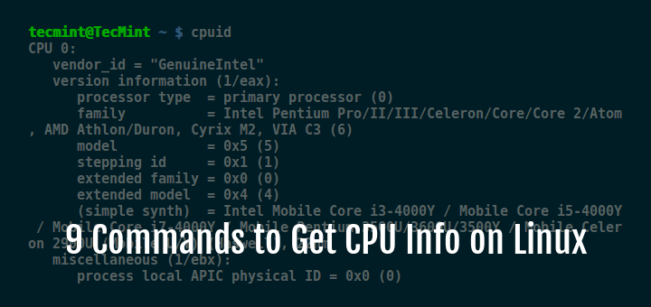 Linux Get CPU Info Command Line