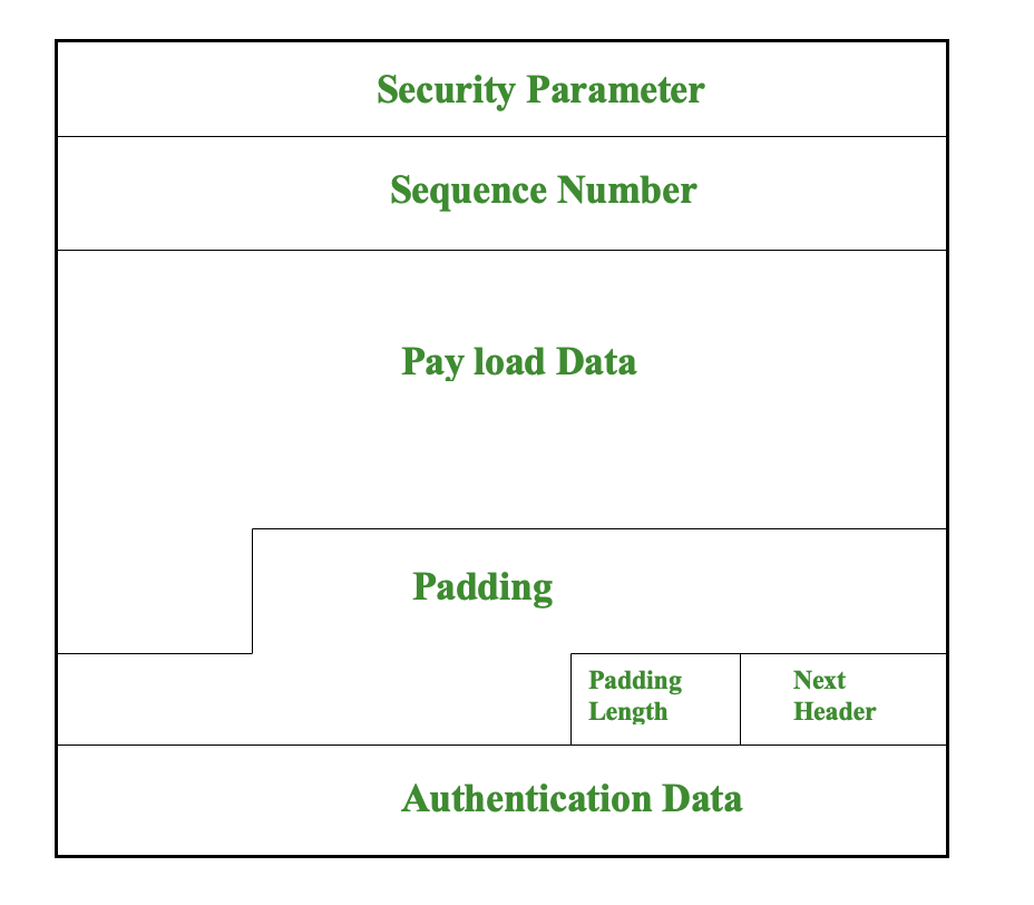 Encapsulating Security Payload In Network Security