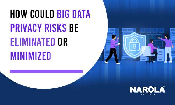 How Could Big Data Privacy Risks Be Eliminated Or Minimized