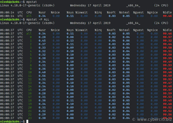 Linux Terminal Check CPU Usage