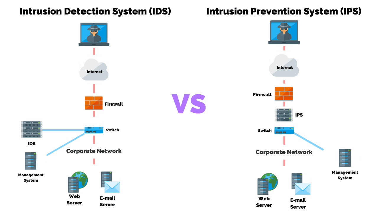 Correctly Installed Antivirus Software Will Prevent All Intrusions