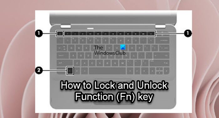 How To Disable Fn Key Windows 11