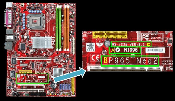 Msi N1996 Graphics Card Specs