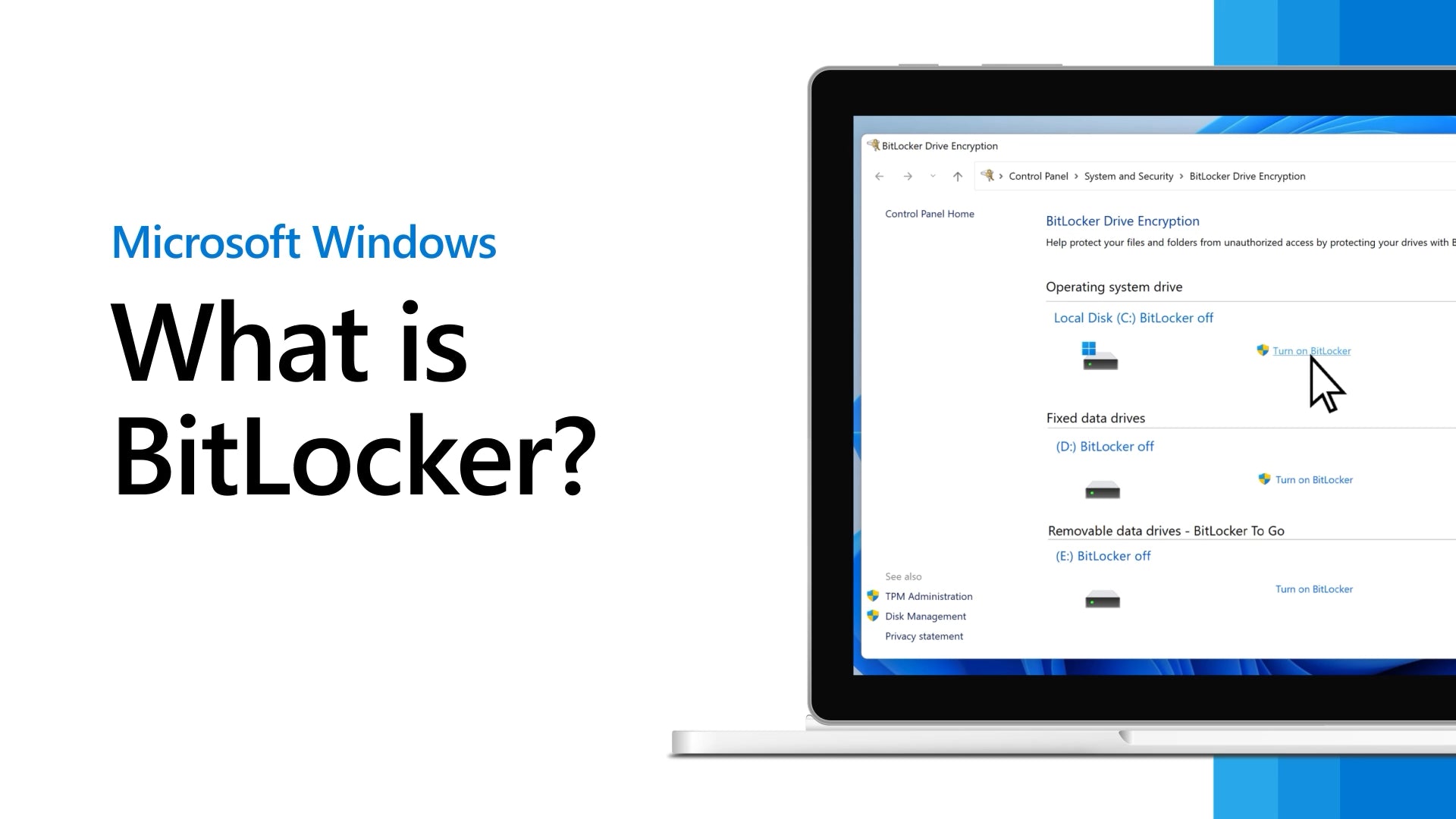 Windows 11 Bitlocker Hardware Encryption