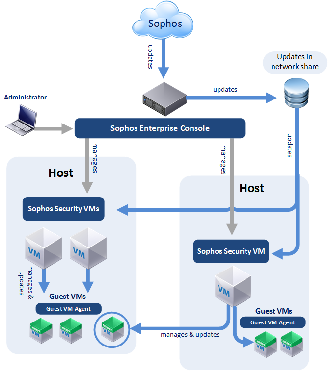 How Does Sophos Antivirus Work