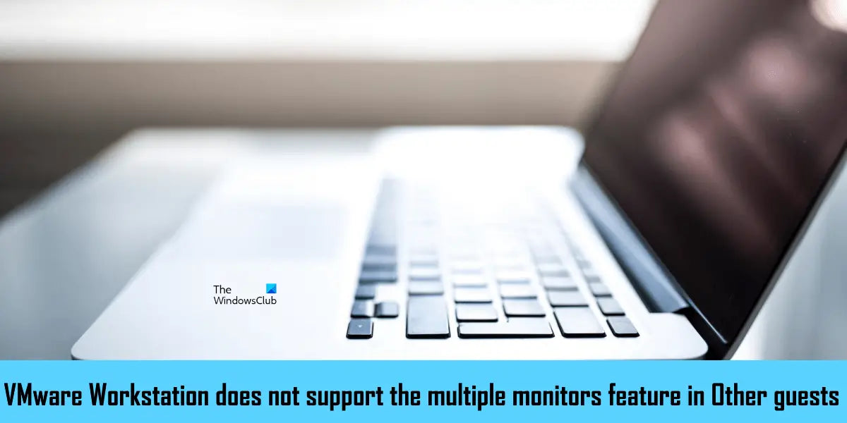 Vmware Esxi Does Not Support The Multiple Monitors Feature