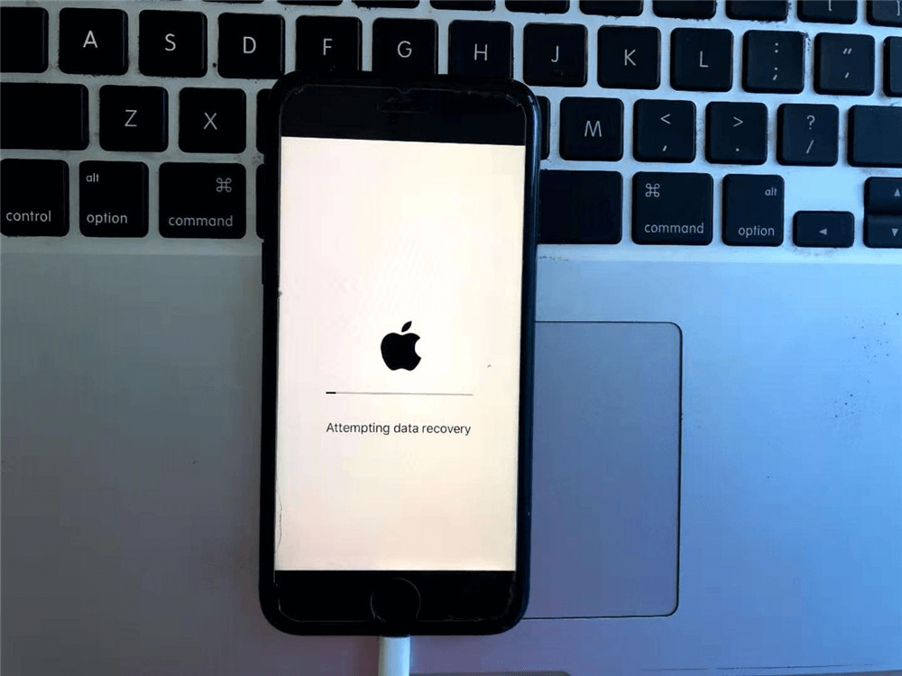 Does IPhone Data Recovery Work