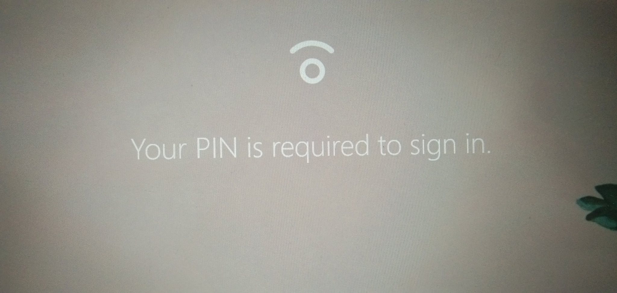 Your Pin Is Required To Sign In Windows 10