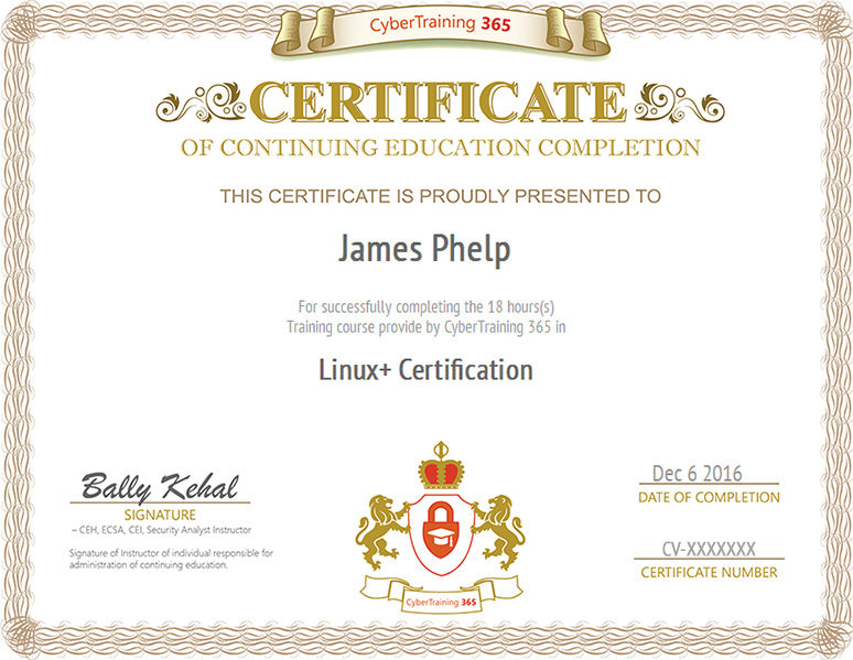 Completed DOD Cybersecurity Fundamental Training For Security+ Ceus