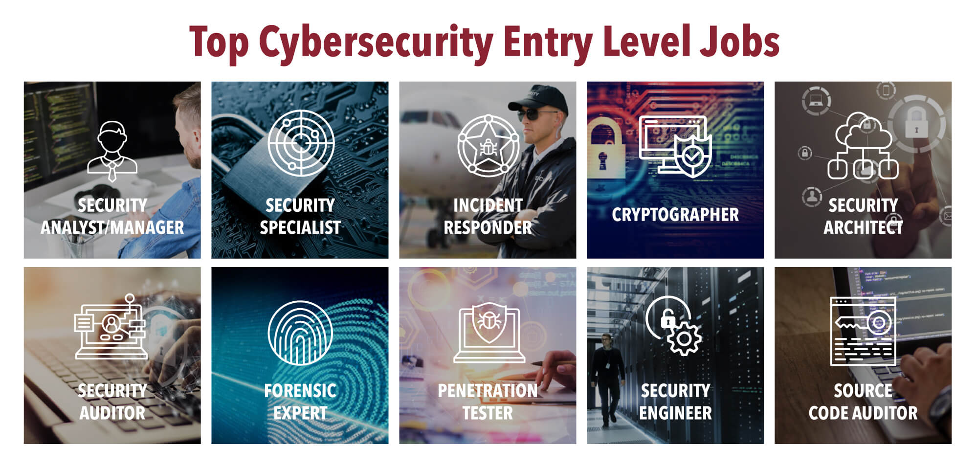 Network Security Entry Level Jobs