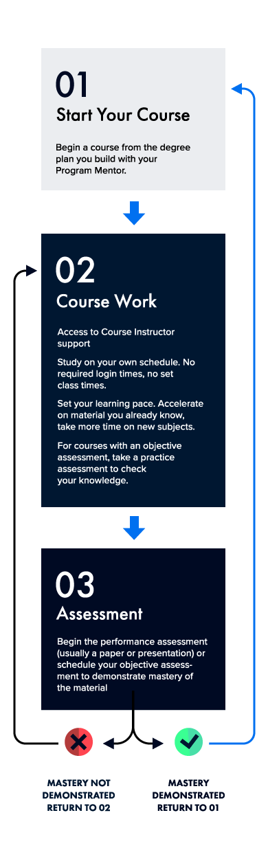 Wgu Cybersecurity No Experience Domain