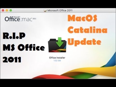 Can I Use Microsoft Office 2011 With Catalina