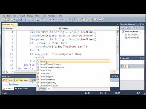 Visual Basic If Statement Example