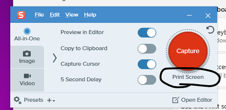 Snagit Windows 11 Print Screen