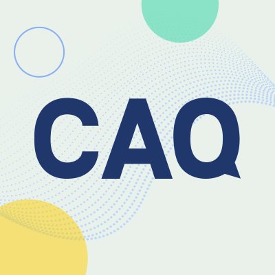 Center For Audit Quality Cybersecurity