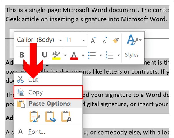 Copy Button With Word How To Copy In Microsoft Word