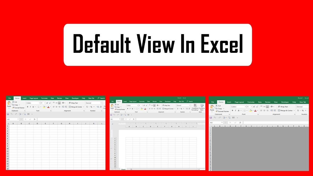 Which View Is The Default View Used In Microsoft Excel