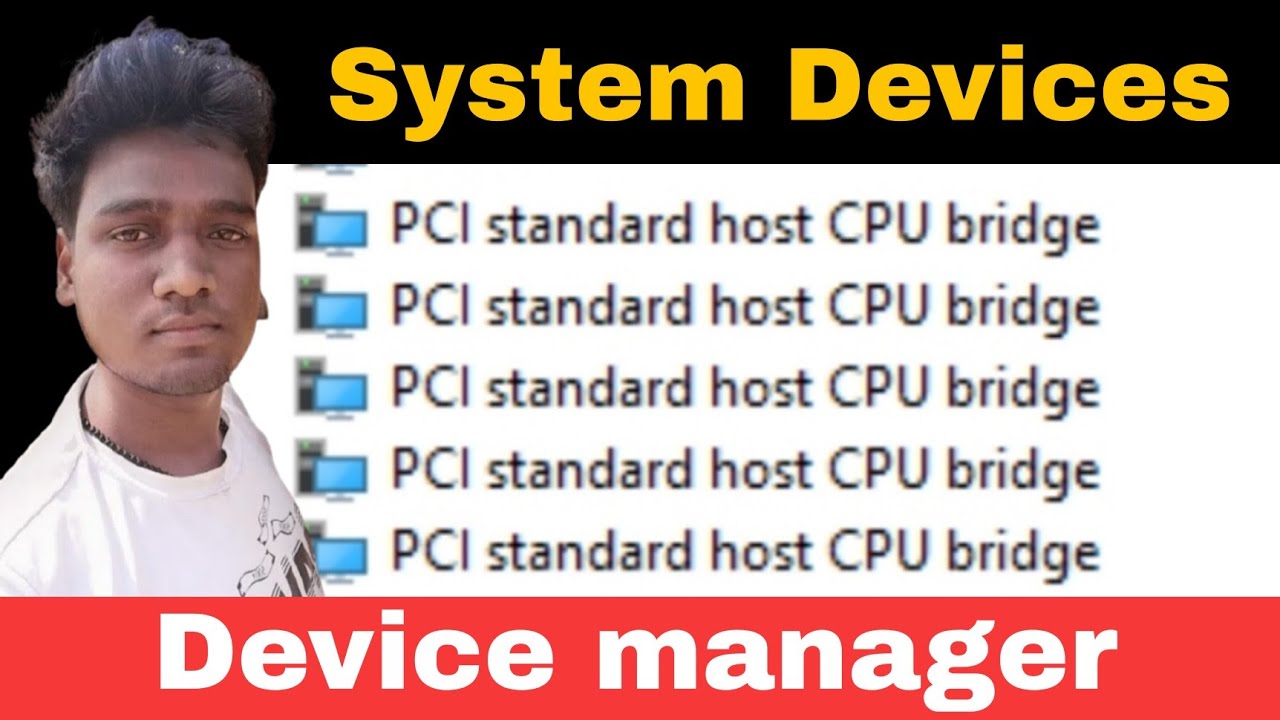 Multiple PCI Standard Host CPU Bridge