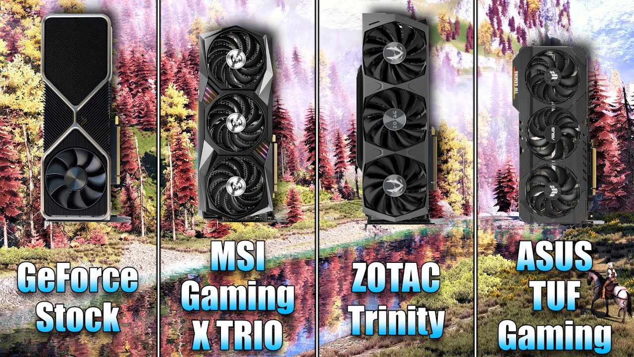 Zotac Vs Msi Graphics Card