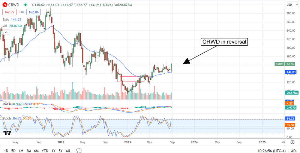 Which Cybersecurity Stock To Buy