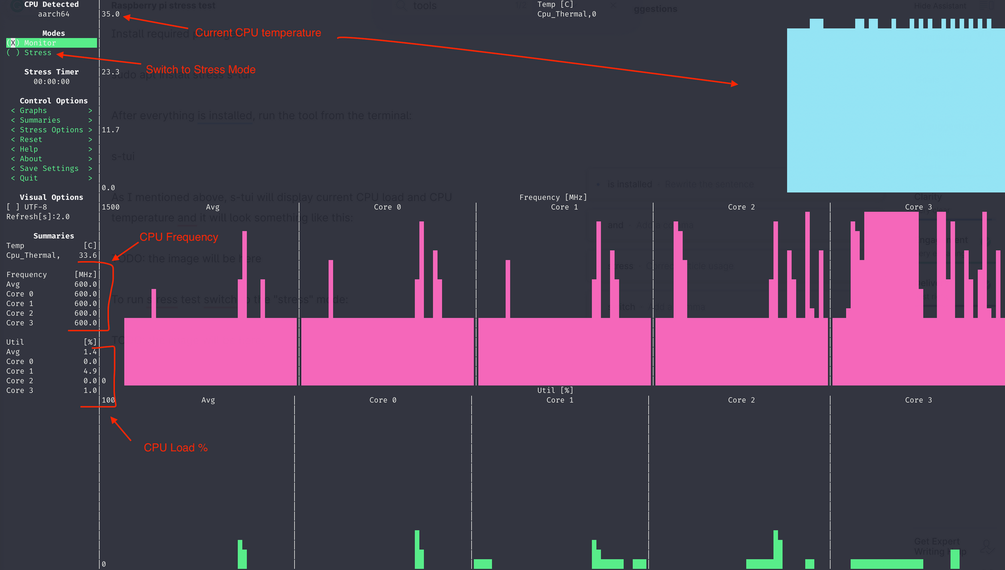 Raspberry Pi CPU Load Test