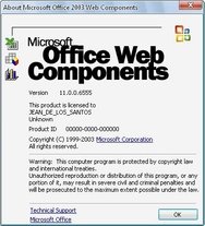 What Is Microsoft Office 2003 Web Components