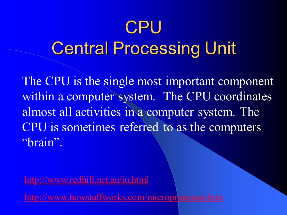 Why Is The CPU Important