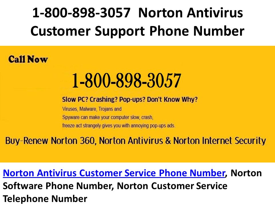 Norton Antivirus Toll Free Phone Number