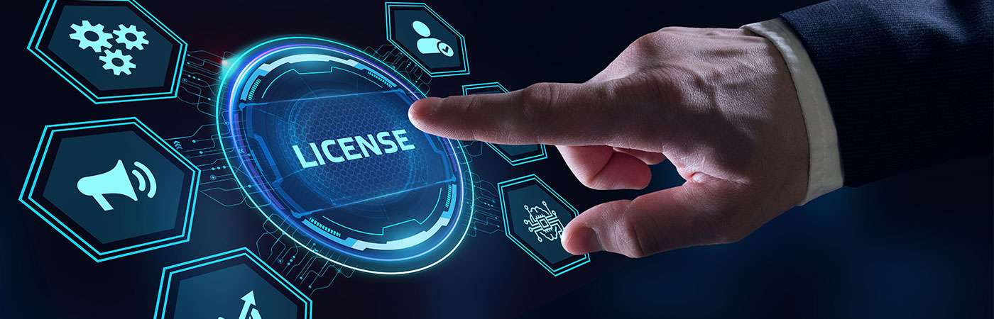 As Is Software License