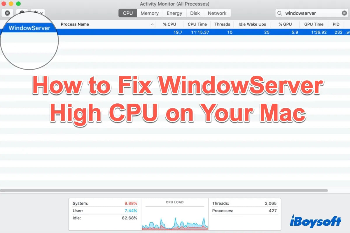 Macos Windowserver High CPU Usage