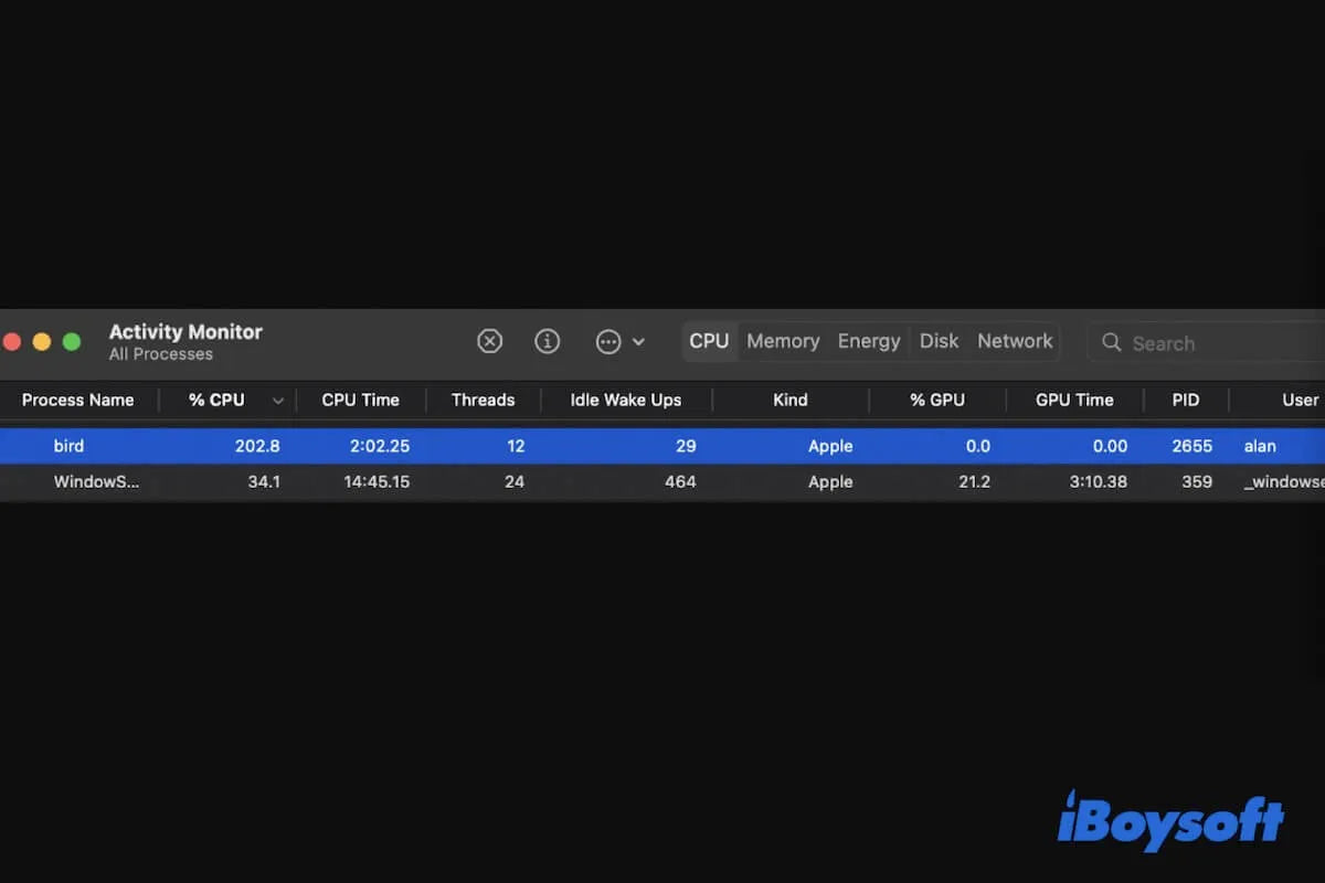 Mac Bird Process High CPU