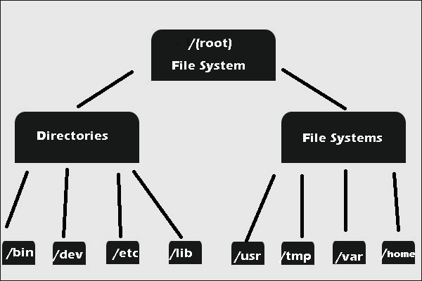 What File System Does Windows 10 Use